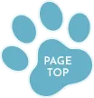 ボタン:PAGE TOP